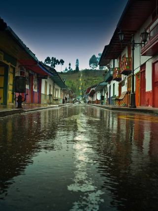 Salento — The Colombian Coffee Town Where Wax Palms Touch the Clouds