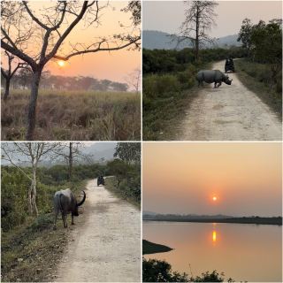 Sunset in Kaziranga