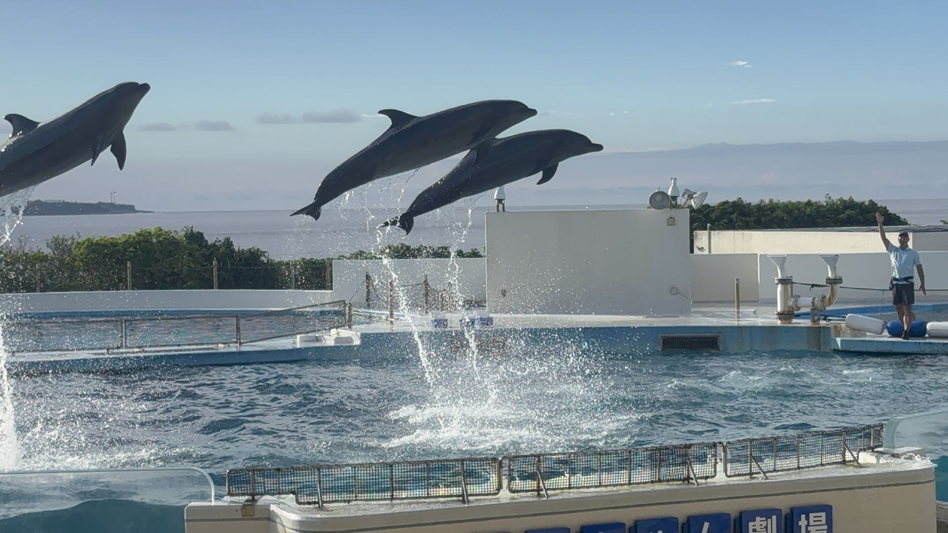 You Must Visit Churaumi Aquarium on Your First Trip to Okinawa!