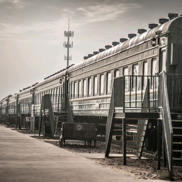 A Train in the Desert