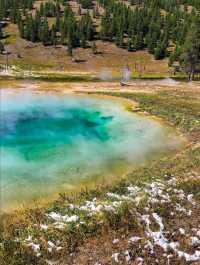 Take the time alone to digest the world, Norris Geyser Basin.