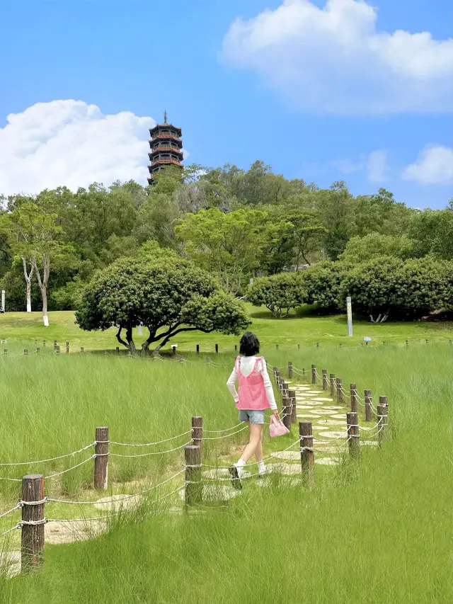 Shenzhen photography | Summer in the anime world is so healing 🍃☁️