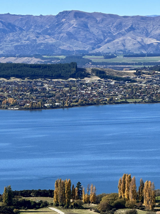 Autumn Story - Wanaka Roy Peak Trail