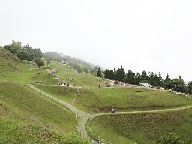 迷霧清境