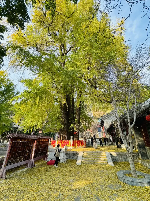 潭柘寺の秋の終わり