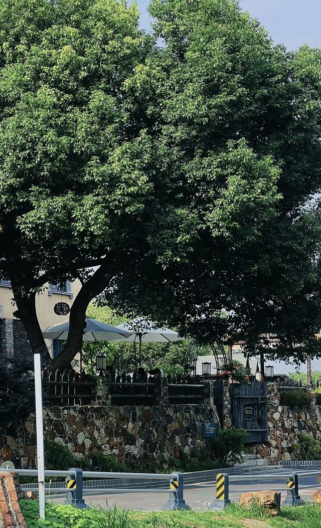 南京一個特別適合曬太陽發呆的小地方!!
