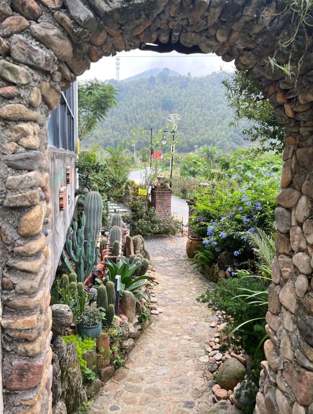 從化一個超級養心養神的小山村