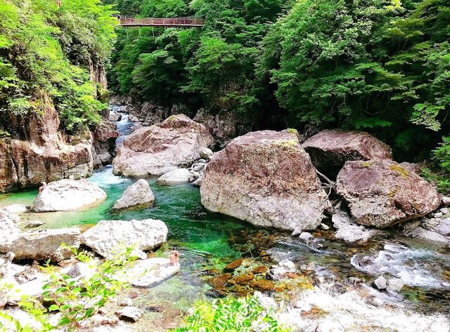 奈良· みたらい渓谷