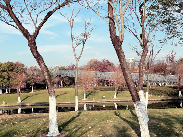 記錄最多院士的城市公園｜院士公園