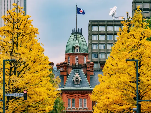 Uncover the places in Sapporo that are definitely worth visiting! The beauty of Sapporo that yo