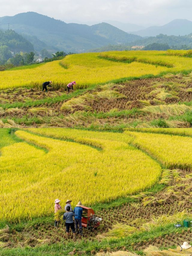 西安周邊小眾旅行地美哭了