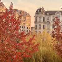 2023 Best Autumn trip in Shanghai