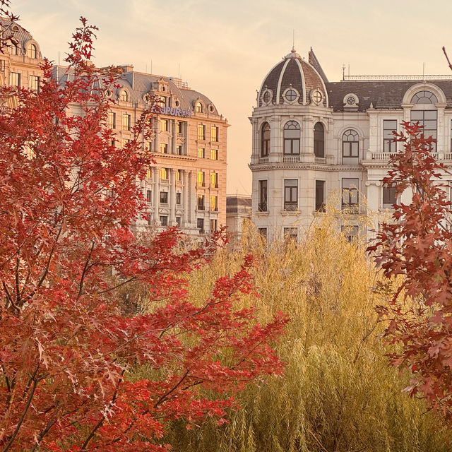 2023 Best Autumn trip in Shanghai