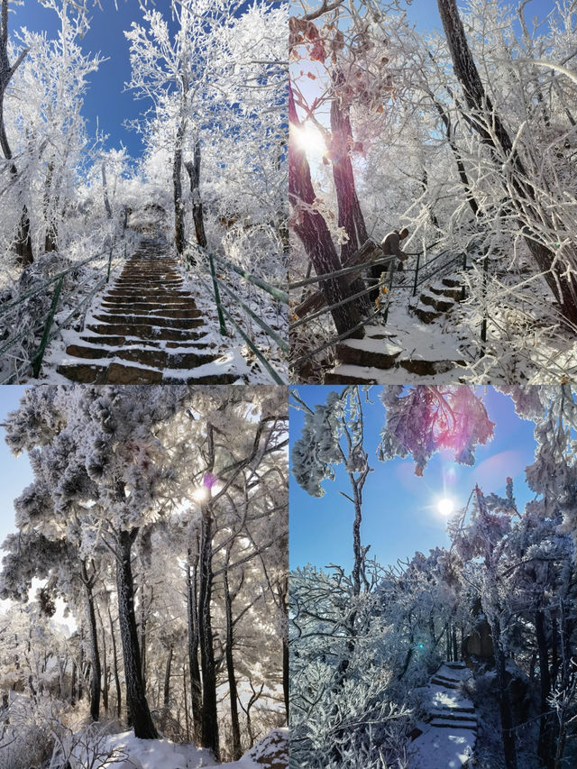 方人看了很難不心動!!東北值得去的城市