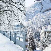 大雪將至，九宮山的雪景絕對不能錯過！❄️ 位於咸寧市通山縣的九宮山，是一個讓人流連忘返的地方