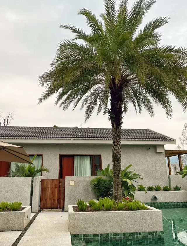 Not in Sanya! A newly opened homestay in Wenzhou!