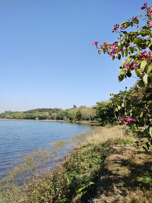 養心，快來靜謐的湛江湖光岩吧