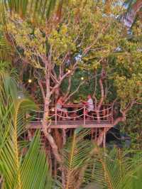 馬爾代夫嘅哈達哈島（Hadahaa）係一個真正嘅浮潛天堂。