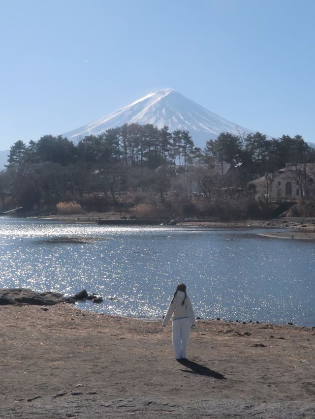 日本必去打卡點—不可錯過的富士山環湖之旅