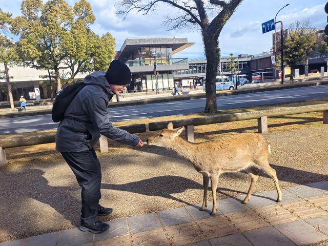 京都奈良之行