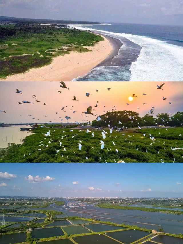 欽州旅遊1茅尾海離市區很近的海