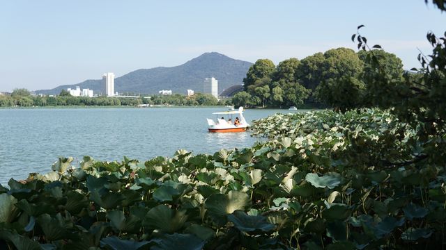 在南京最適合週末出遊的地方——玄武湖