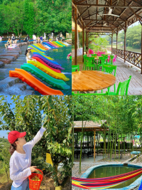 深圳農家樂團建好去處｜秋日DIY美食