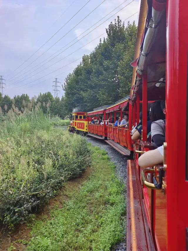 นี่คือรถไฟขนาดเล็กที่ฟาร์มสัตว์กลางและใต้ของ Anji Huzhou ที่เป็นมิตรกับครอบครัว