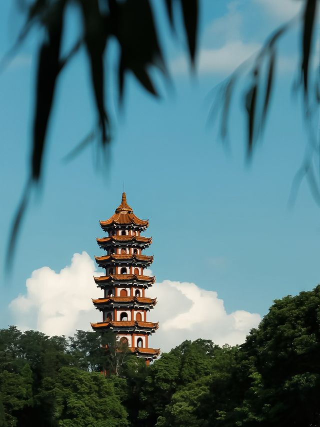 武漢周邊遊｜婁底秋日圖｜青山尋秋（青山公園） 武漢周邊婁底藏著這麼一處有秋意的公園 雨後天氣晚來秋