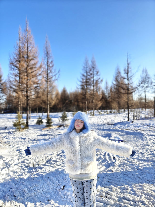 長白山二道白河，雪絨花冰瀑布之旅