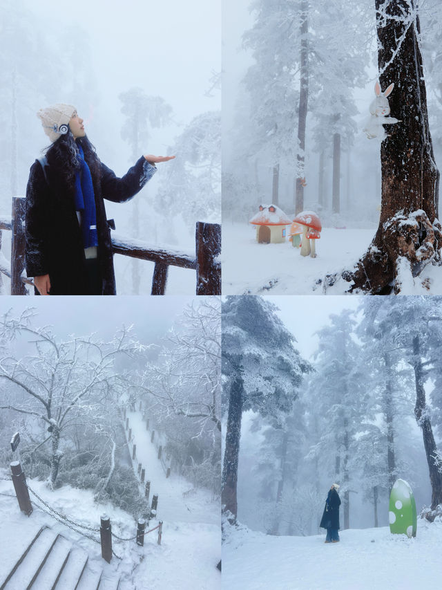 成都周邊冬日氛圍雪景大片！這裡下大雪啦～