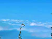 在眉山！！遇見雲海、霧凇