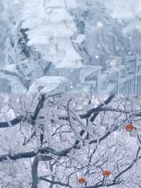 花果山很好下次還要來 剛下過雪後的花果山美的夢幻