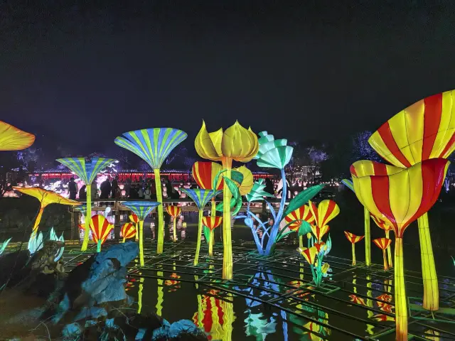 A trip to Suzhou during the Dragon Year Spring Festival