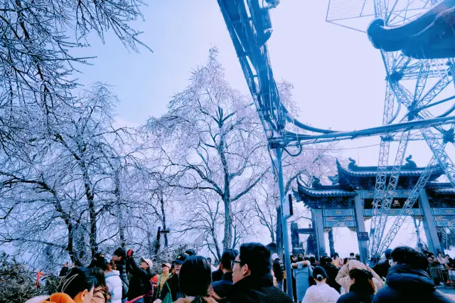 【2024 New Year's Spectacle】Viewing rime in Hangzhou