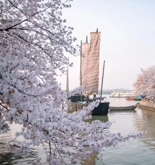 The canal network embraces Suzhou