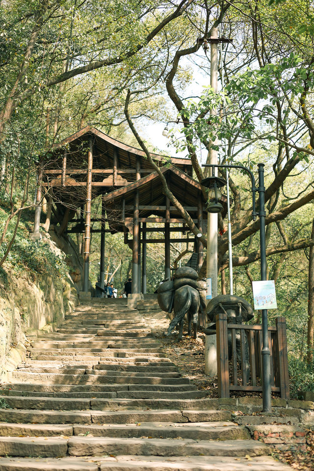 春日徒步，重慶南山經典步道黃葛古道