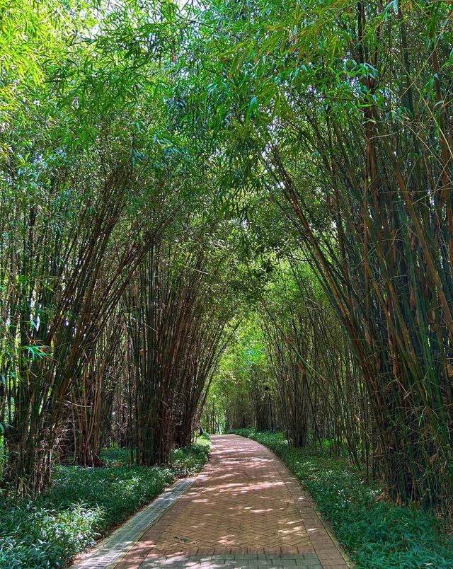 治癒系公園，至少有超大草坪，除非我打開的方式不對？