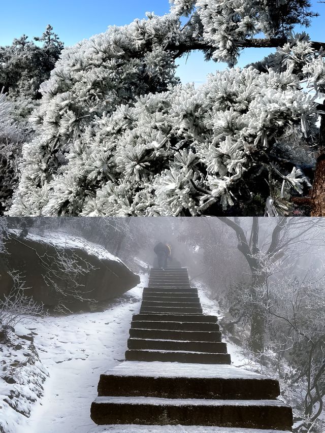 黃山雪景|23年歲末的冰雪願望