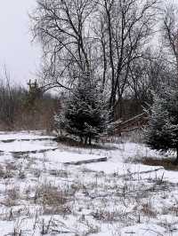 北極村的冰雪奇緣，你體驗過了嗎？嘿，朋友們