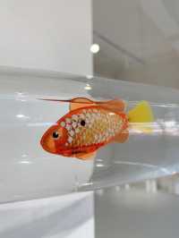 春季新展，靈性的存在