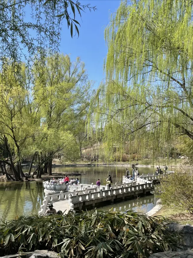 When it comes to a sense of relaxation, the elderly Beijingers at Zizhuyuan Park really know their stuff