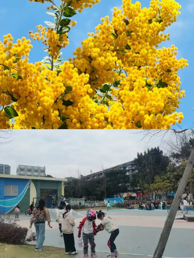 청두 신화 공원|단 10분 만에! 치앙마이에서 '비행'하여 뉴욕에 도착