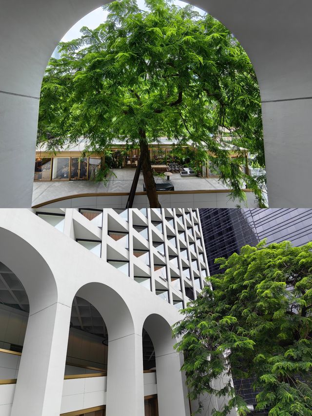 十億美金打造的香港中環地標酒店尼依格羅美利