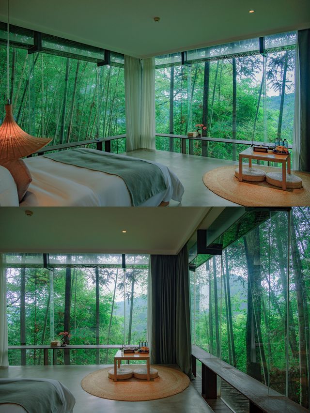 青城山必住酒店有絕美夜景，住進森林裡