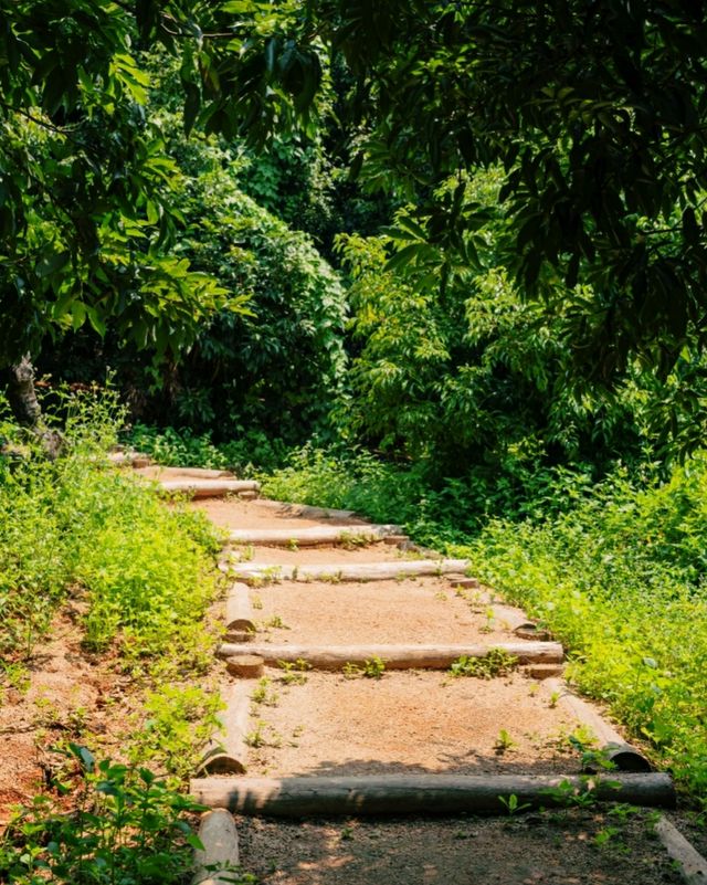 深圳出遊|小眾人少治癒系碧道