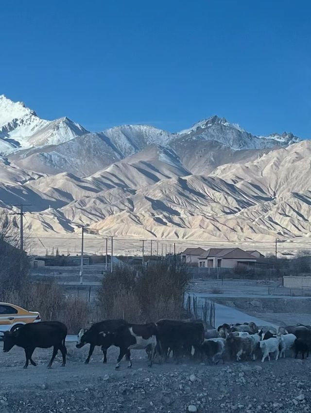 新疆唯一高原～帕米爾高原