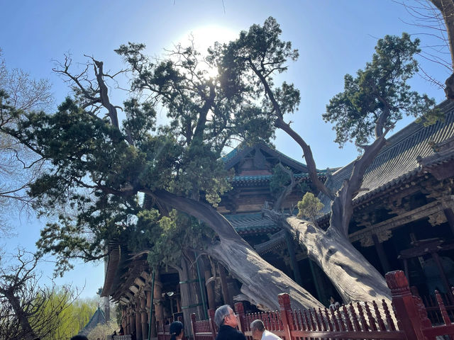 太原｜千年一園看晉祠