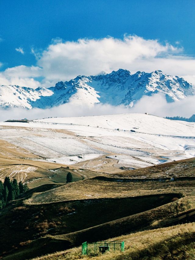 新疆：風吹麥浪的江布拉克
