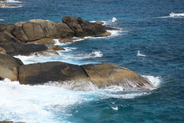 海島日記 | 三亞回來真的有戒斷反應